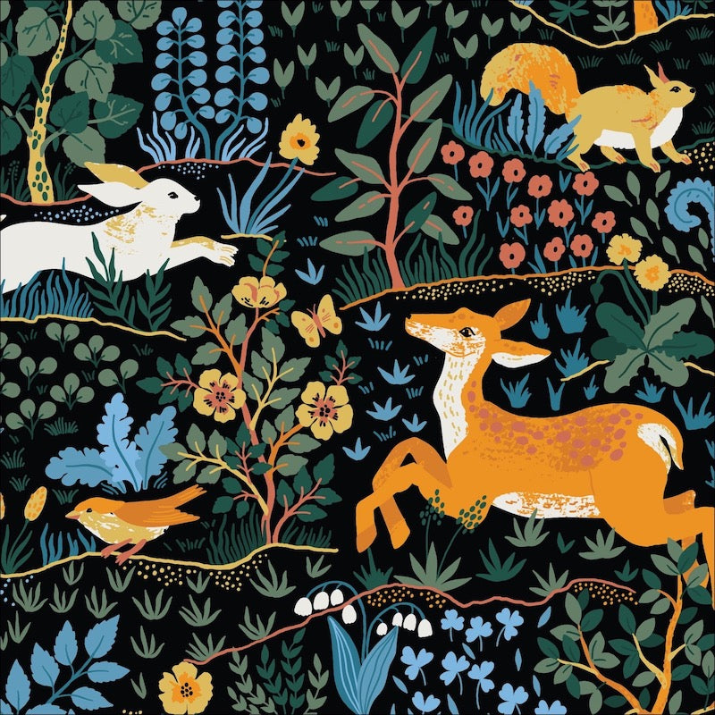 Cloud9 wild animals dark